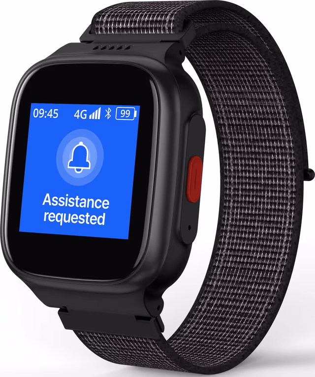 Hardware & Firmware QA — IoT Wearable Platform screenshot